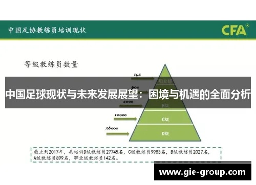 中国足球现状详细剖析挑战与机遇并存