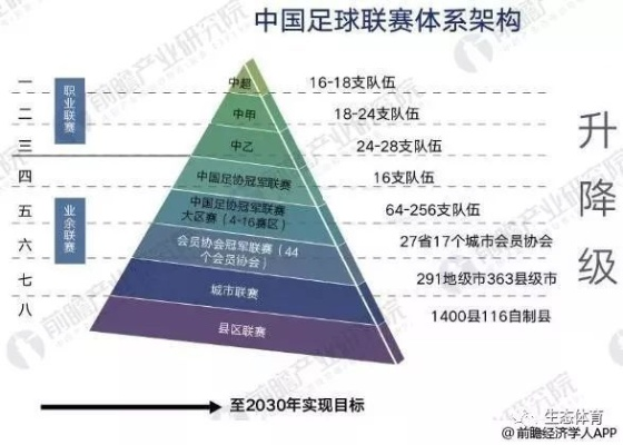 中国足球现状详细剖析挑战与机遇并存-第3张图片-www.211178.com_果博福布斯